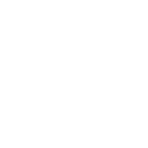 localisation icon